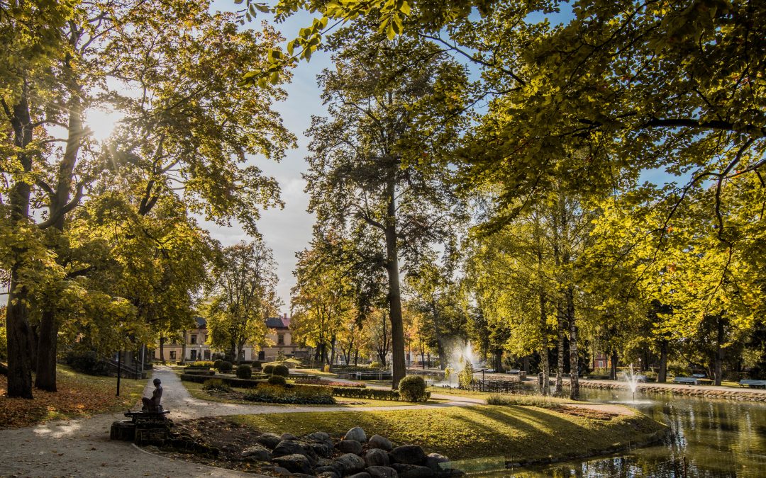 Parques para hacer un picnic en Madrid en otoño